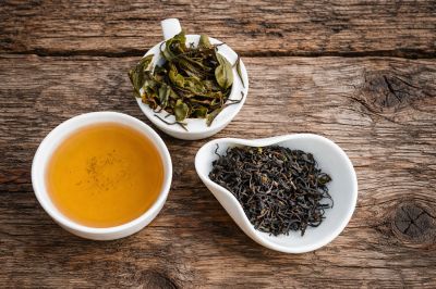 NILGIRI COLD MIST 2026